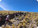 Bolivia Cile 2017-1048